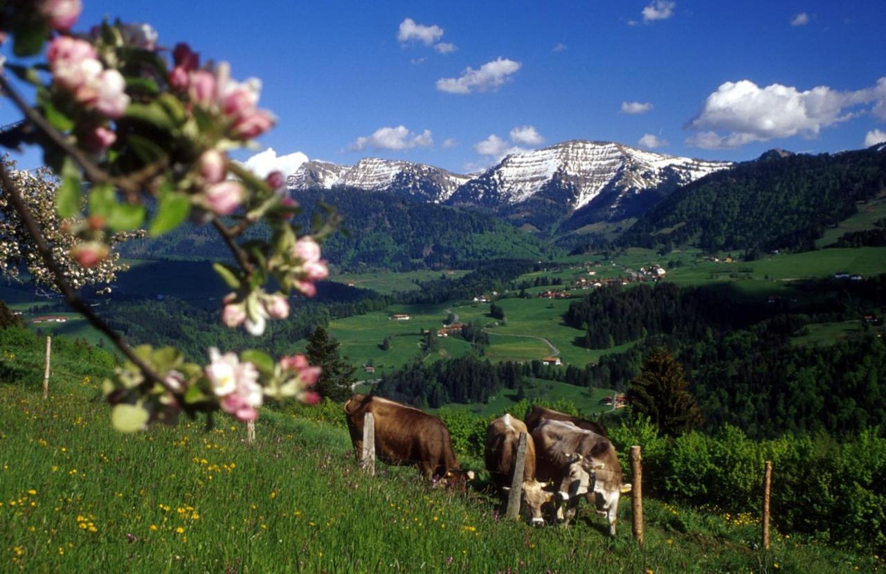 Fewo "Staufen Lodge" Oberstaufen Εξωτερικό φωτογραφία